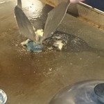 HAMBURG LABO 四条西洞院店 - 