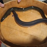 うなぎ処 古賀  - 