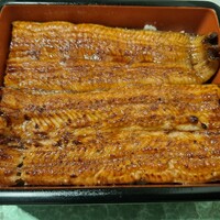 うなぎ処 古賀  - 