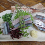 のげちゃん - 秋刀魚刺し三昧盛