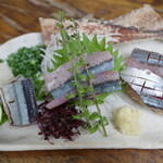 のげちゃん - 秋刀魚刺し三昧盛