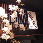 鳥ばか一代 - 桜祭り