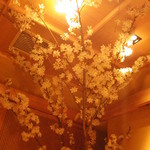 鳥ばか一代 - 桜祭り