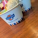 ブルーシール - 