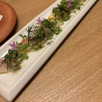 MOTO TOKYO -  MOTO TOKYO -