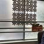 マンゴスチン - 