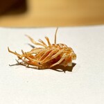 天ぷら北川 - 車海老の頭。
ミソの風味は控えめですが、カリカリと美味…