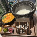 此処は堀江 ニルとコメ - 