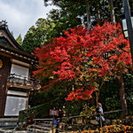 京都大原三千院 - 真っ赤でした