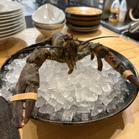 四ツ橋・新町 牡蠣と肉たらしビストロAKIRA - 