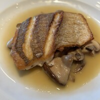 クラリタ ダ マリッティマ -  クラリタ ダ マリッティマ -