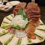 亜紗 - ウチワエビ