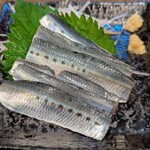 越中屋  - いわし造り