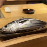 くずし 之助 - もち鰹。名前の通りもっちもちで、こんなに美味しい鰹食べたことなかった。