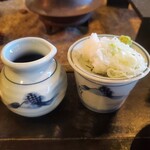 そば処　いち川 - 料理写真:そばつゆと薬味。徳利の1/5程度しかそばつゆは入ってませんが、それでも充分うまいし、足りる量です。むしろ余ります。