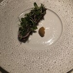 プレヴナンス - 