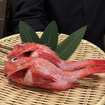 炉ノ鳥 - 