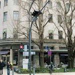 カフェドゥラプレス - 外から（ビルの２階です）