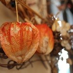 石臼挽き蕎麦香房 山の実 - 