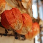 石臼挽き蕎麦香房 山の実 - 