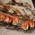 石臼挽き蕎麦香房 山の実 - 