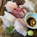 平塚漁港の食堂 - 右上からサワラ、ほうぼう・鰤・真鯛・ヒラメの縁側