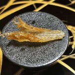 GEJO - ゲンゲ骨煎餅