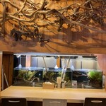 人類みな麺類 - 