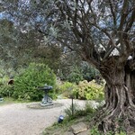 小笠原伯爵邸 - 