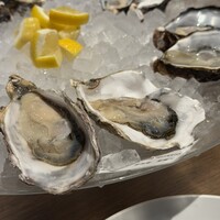 Oysterbar&Wine BELON 渋谷店 - 