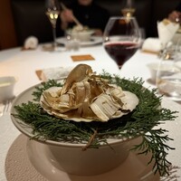 レフェルヴェソンス - 