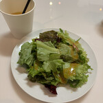 IDOL - ミニサラダ