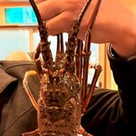 大皿惣菜 まぁる - 掴んでるがまだ動いてる