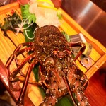 大皿惣菜 まぁる - まだ生きてる