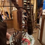 大皿惣菜 まぁる - 掴んでみた^_^