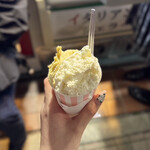 ジェラテリア マンマミア - 