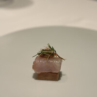 カンテサンス - 