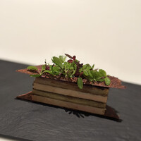 カンテサンス - 