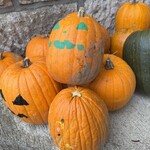 道の駅びえい 白金ビルケ - 料理写真: