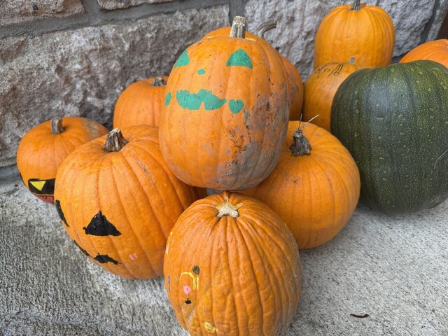 道の駅びえい 白金ビルケ - 美瑛町その他（道の駅）