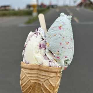 口コミ一覧 : あいすの家とエトセトラ 長沼本店 - 北広島/ジェラート