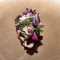 レストラン・ランス・ヤナギダテ - 