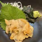 たぬき ラクーンドッグ - 