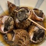 たぬき ラクーンドッグ - 