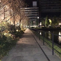 TRATTORIA CREATTA - （2014年11月）テラス席の前に和田倉濠に沿った散歩道が通っています。