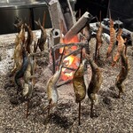 炉端かしわ屋 治兵衛 名駅 - 