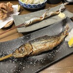 炉端かしわ屋 治兵衛 名駅 - 