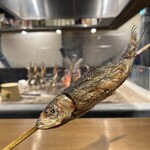 炉端かしわ屋 治兵衛 名駅 - 