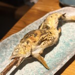 炭と海鮮と串焼きと肴 とっとっと - 