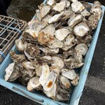 ヤマサ水産 - 殻はここにポイッ！